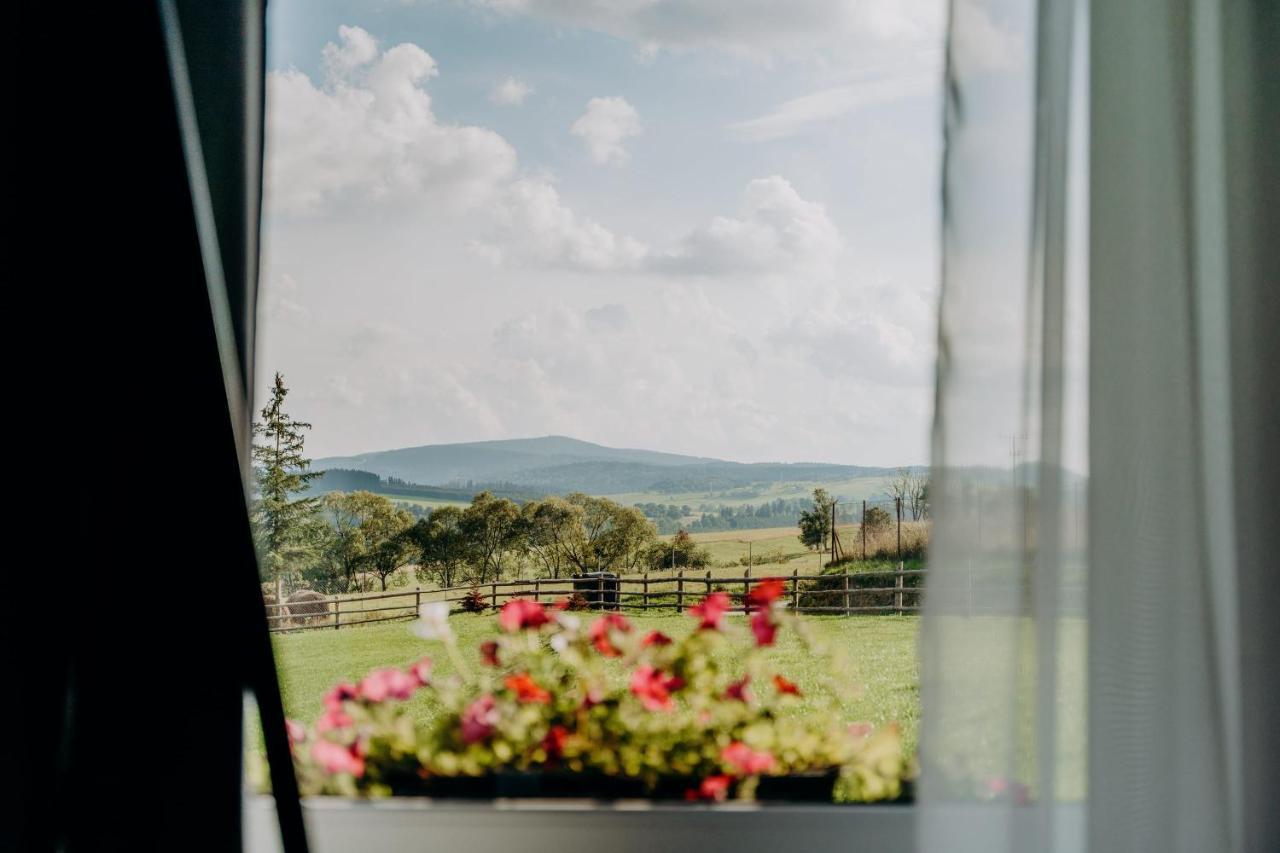 Jeleni Jar Apartamenty Duszniki Zdrój Exterior foto